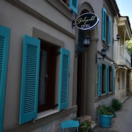 Gülayvalık *
